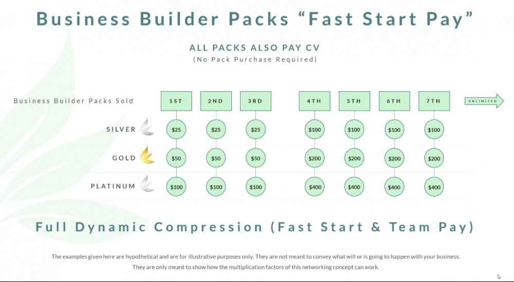 CTFO Review - Fast Start pay plan