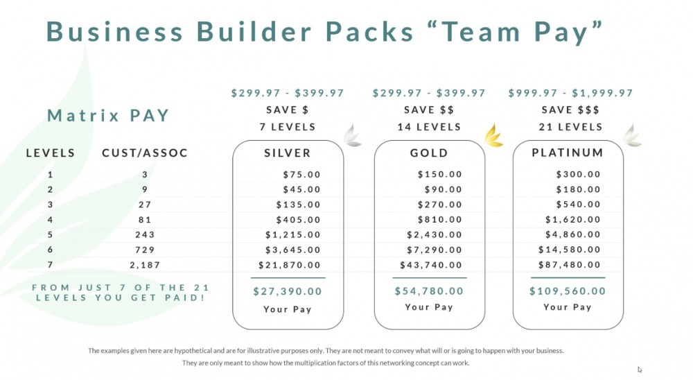 CTFO Review - Team Pay Plan