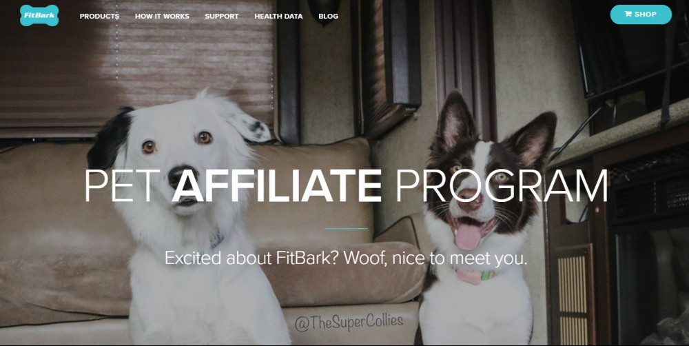 Affiliate Programs For Pet Products - Pic of the Super Collies